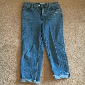 Everlane Way High Jean in blue